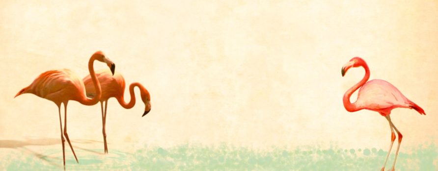 FlamingoBanner